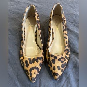 Lulu’s Alessia Leopard Low Pointed-Toe Heels